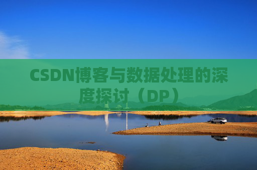 CSDN博客与数据处理的深度探讨（DP）